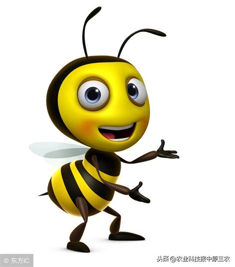 蜜蜂象徵意義